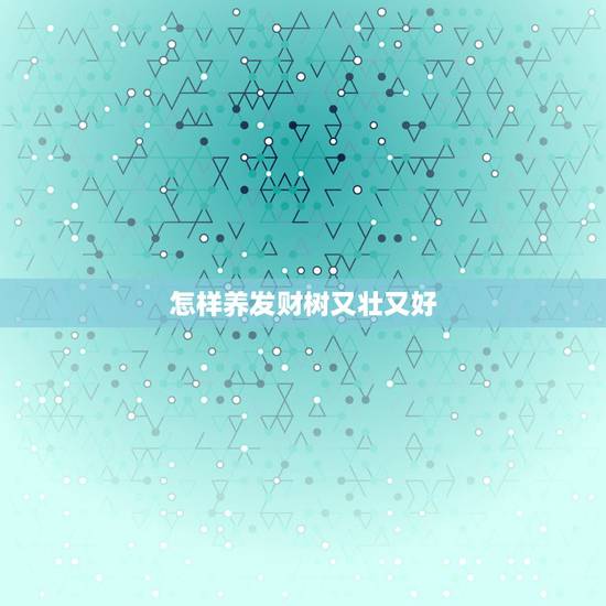 怎样养发财树又壮又好，发财树怎么护养才好