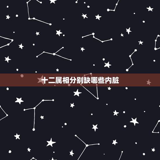 十二属相分别缺哪些内脏，十二生肖中都相对于人缺少什么器官