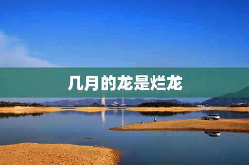 几月的龙是烂龙 龙怕兔还是兔怕龙 几月的龙是烂龙 龙怕兔还是兔怕龙