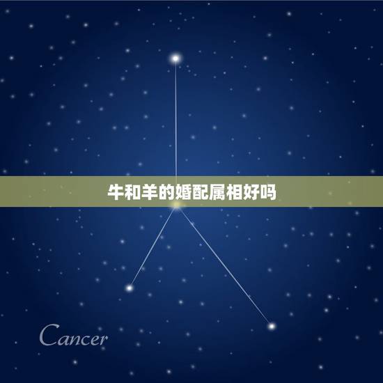 牛和羊的婚配属相好吗，属相婚配羊与牛结婚可以吗