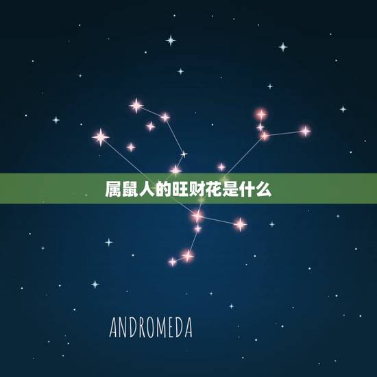 属鼠人的旺财花是什么,属鼠幸运花和旺财花 属鼠人的旺财花是什么,属鼠幸运花和旺财花