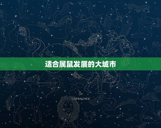 适合属鼠发展的大城市,属鼠不宜去的城市 适合属鼠发展的大城市,属鼠不宜去的城市