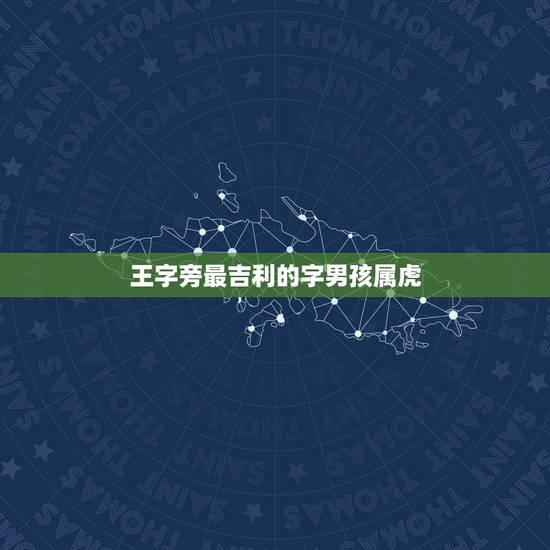 王字旁最吉利的字男孩属虎 王字旁最吉利的男孩名字 王字旁最吉利的字男孩属虎 王字旁最吉利的男孩名字