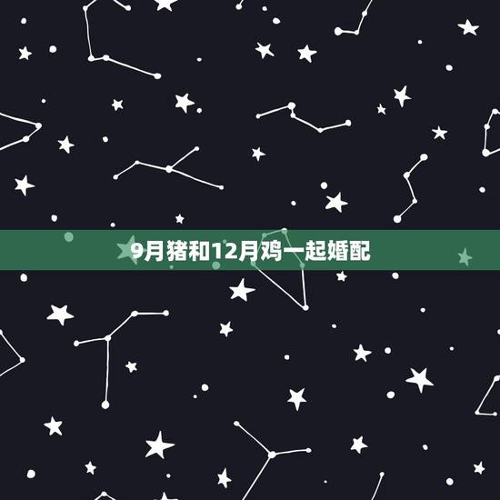 9月猪和12月鸡一起婚配,鸡和猪的配婚 9月猪和12月鸡一起婚配,鸡和猪的配婚