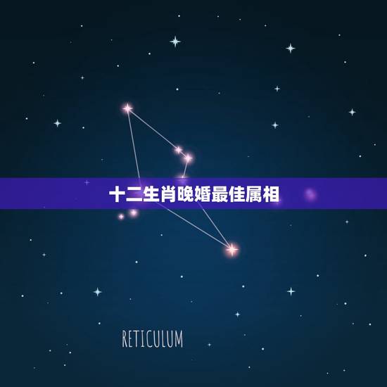 十二生肖晚婚最佳属相，最佳婚配属相