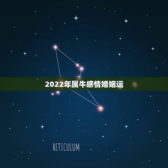 2022年属牛感情婚姻运,2023年属牛人的全年运势 2022年属牛感情婚姻运,2023年属牛人的全年运势