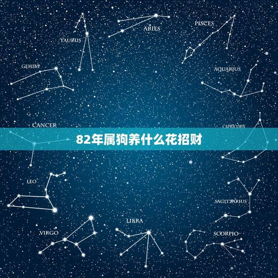 82年属狗养什么花招财，82属狗适合养什么植物