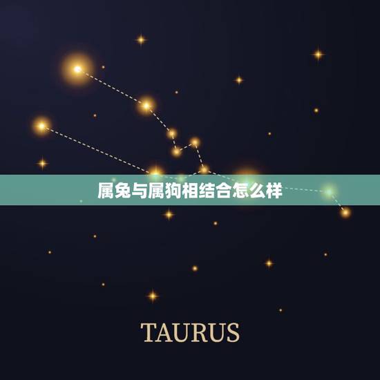 属兔与属狗相结合怎么样,属狗与属兔谁聪明 属兔与属狗相结合怎么样,属狗与属兔谁聪明