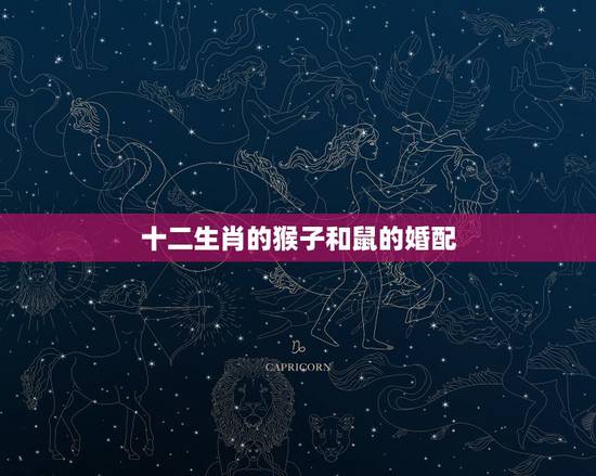 十二生肖的猴子和鼠的婚配,猴年男跟什么属相相配 十二生肖的猴子和鼠的婚配,猴年男跟什么属相相配