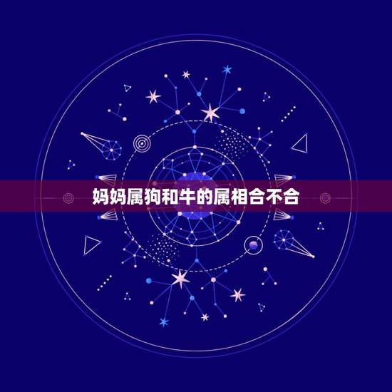 妈妈属狗和牛的属相合不合，属狗的妈妈和属牛的儿子和吗
