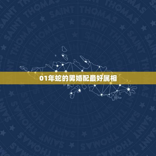 01年蛇的男婚配最好属相，2001年属蛇配偶属什么最好？