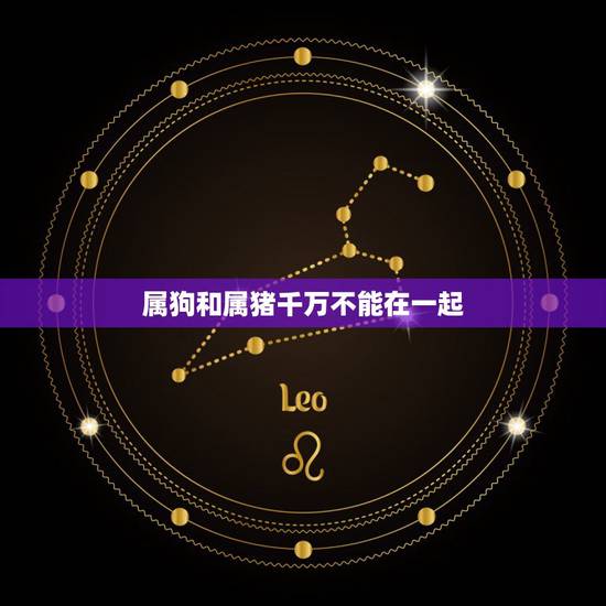 属狗和属猪千万不能在一起,我想问问属猪的能和属狗的在一起么? 属狗和属猪千万不能在一起,我想问问属猪的能和属狗的在一起么?
