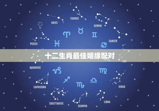 十二生肖最佳姻缘配对，虎生肖配对姻缘