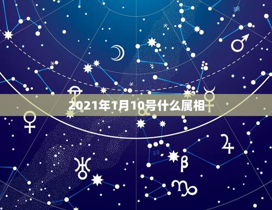 2021年1月10号什么属相,2021年28岁属什么生肖 2021年1月10号什么属相,2021年28岁属什么生肖