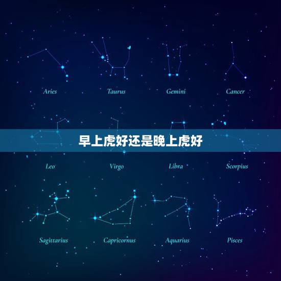 早上虎好还是晚上虎好，属虎的白天出生还是晚上出生好吗