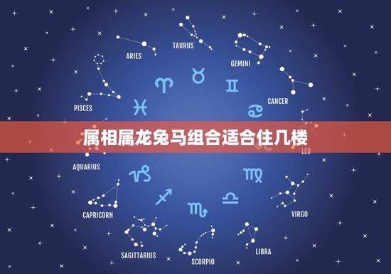 属相属龙兔马组合适合住几楼，属龙属马适合住几楼？想买高层