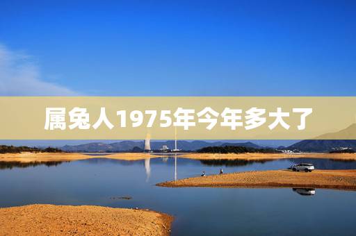 属兔人1975年今年多大了，75属兔一生有几次婚姻