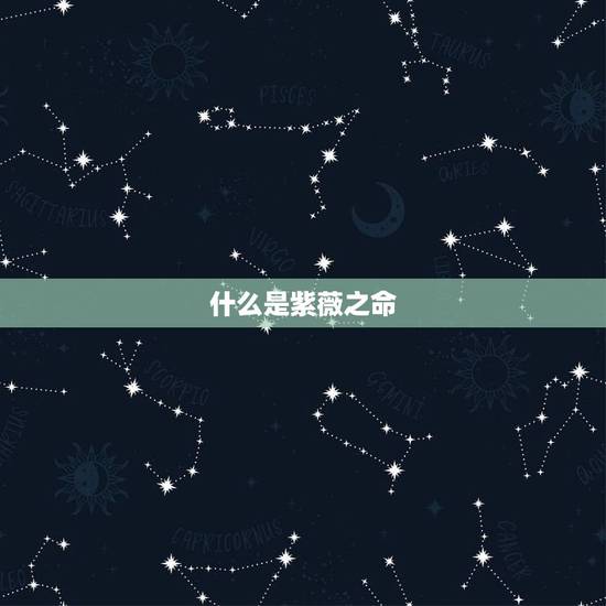 什么是紫薇之命,紫薇命盘中,命宫暗合疾厄宫的天同红鸾是什么意思 什么是紫薇之命,紫薇命盘中,命宫暗合疾厄宫的天同红鸾是什么意思