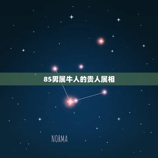 85男属牛人的贵人属相，73属牛的三大贵人