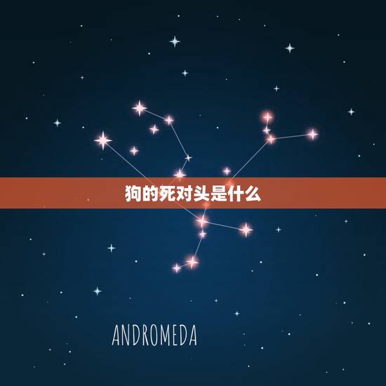 狗的死对头是什么,动物之间天生的死对头 狗的死对头是什么,动物之间天生的死对头
