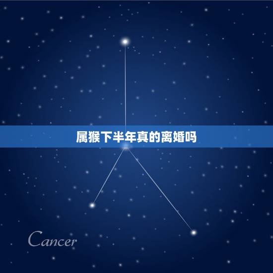 属猴下半年真的离婚吗,今年容易离婚的生肖 属猴下半年真的离婚吗,今年容易离婚的生肖