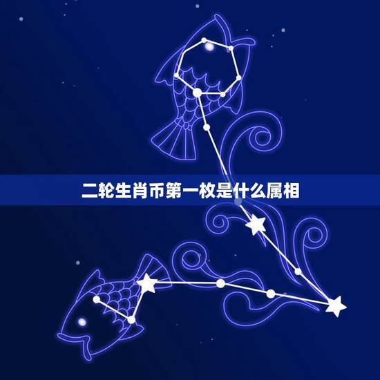 二轮生肖币第一枚是什么属相，十二生肖纪念币发行量 各发行多少枚？