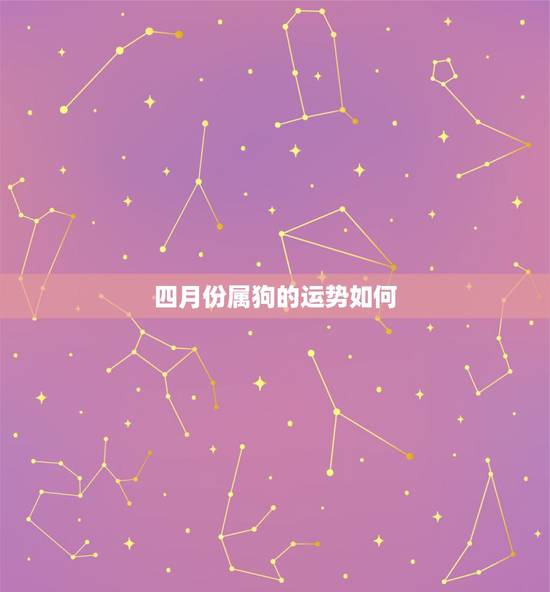 四月份属狗的运势如何,属狗2021年运势及运程每月运程 四月份属狗的运势如何,属狗2021年运势及运程每月运程