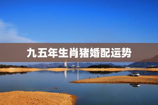 九五年生肖猪婚配运势,95年属猪跟什么属相配 九五年生肖猪婚配运势,95年属猪跟什么属相配