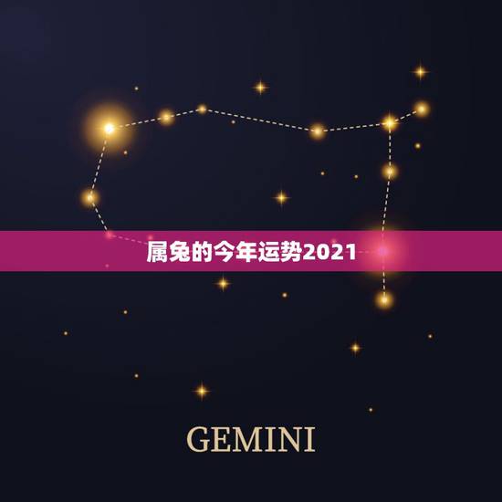 属兔的今年运势2021，今年属兔的财运和运气如何2021