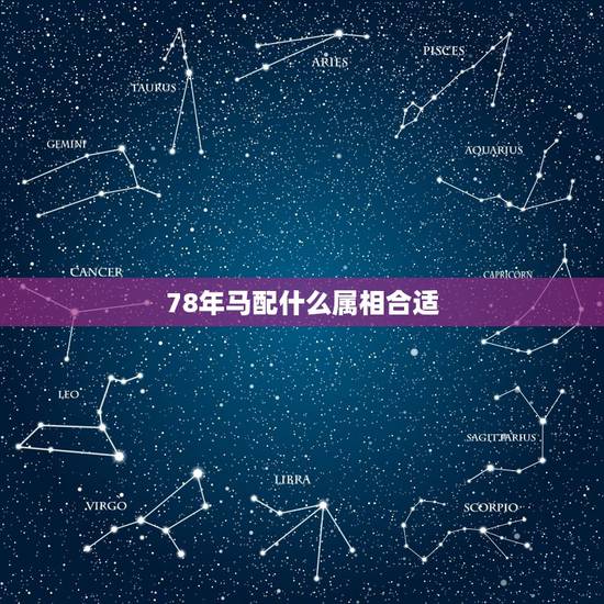 78年马配什么属相合适，什么属相与78年属马的是最佳拍档