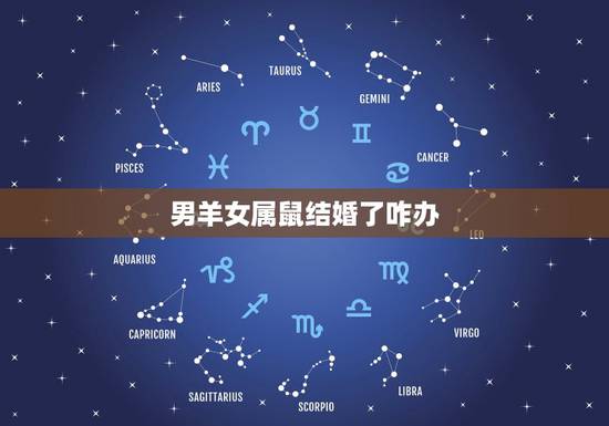 男羊女属鼠结婚了咋办,羊鼠婚姻相配吗 男羊女属鼠结婚了咋办,羊鼠婚姻相配吗