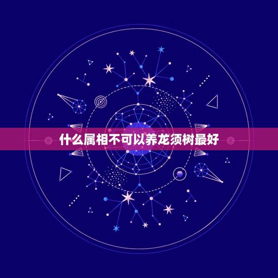 什么属相不可以养龙须树最好，龙须树有什么风水作用，龙须树的风水摆