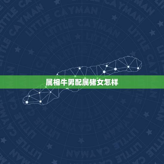 属相牛男配属猪女怎样,属猪女和属牛男相配吗 属相牛男配属猪女怎样,属猪女和属牛男相配吗
