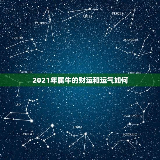 2021年属牛的财运和运气如何，属牛的本命年应该注意什么？