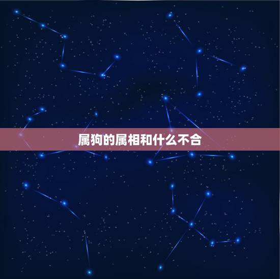属狗的属相和什么不合，属狗和什么不合
