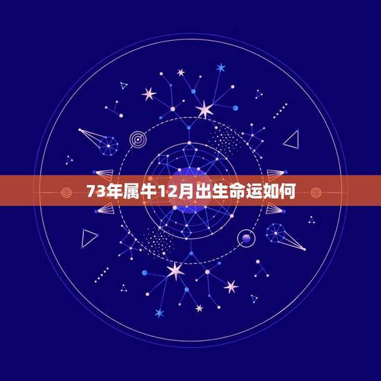 73年属牛12月出生命运如何,73年属牛的农历正月十二命运如何 73年属牛12月出生命运如何,73年属牛的农历正月十二命运如何