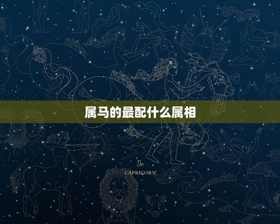 属马的最配什么属相，马和什么属相最配