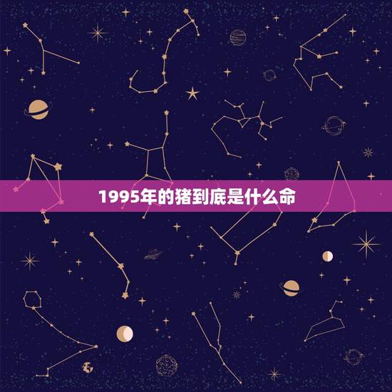 1995年的猪到底是什么命，1995年猪什么命