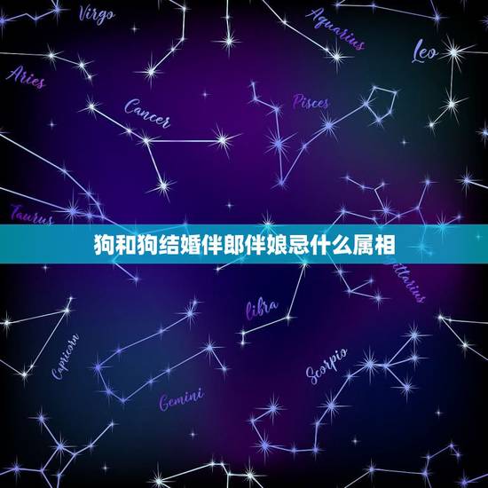狗和狗结婚伴郎伴娘忌什么属相，新娘96年属鼠，新郎94年属狗，2019