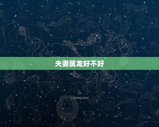 夫妻属龙好不好,男龙女龙上上等婚姻 夫妻属龙好不好,男龙女龙上上等婚姻