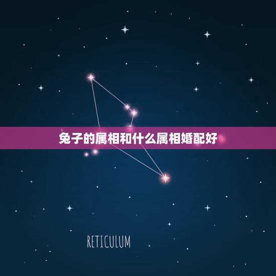 兔子的属相和什么属相婚配好，属兔子和什么相配好？