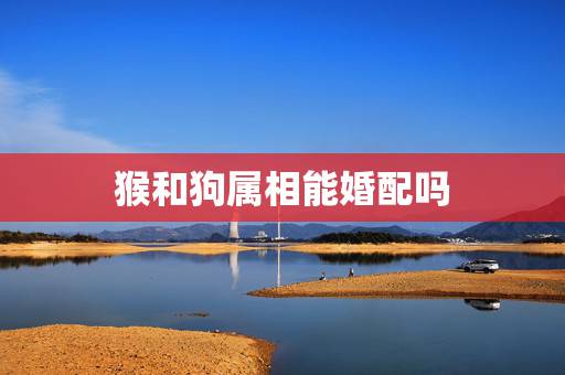 猴和狗属相能婚配吗,属猴跟属狗合吗 猴和狗属相能婚配吗,属猴跟属狗合吗