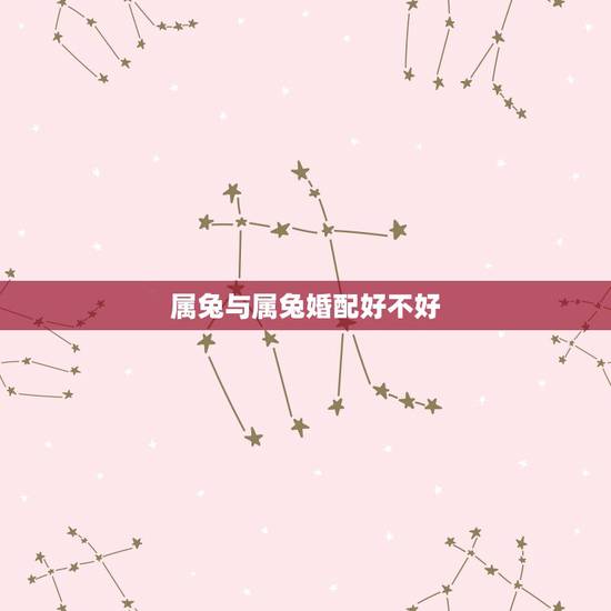 属兔与属兔婚配好不好,属兔和什么属相比较相配 属兔与属兔婚配好不好,属兔和什么属相比较相配