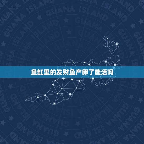 鱼缸里的发财鱼产卵了能活吗，鱼缸里的鱼产卵了，应该怎么处理