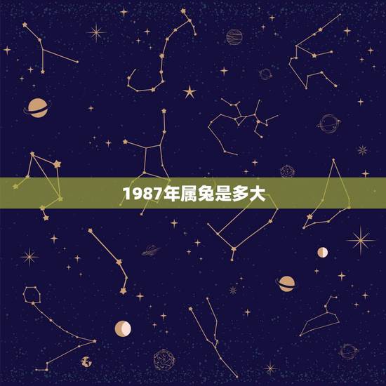 1987年属兔是多大,1987年属兔的更佳配偶 1987年属兔是多大,1987年属兔的更佳配偶