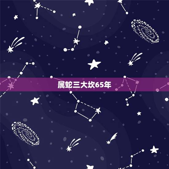 属蛇三大坎65年，属蛇55岁后走好运