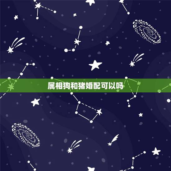 属相狗和猪婚配可以吗，属狗和属猪的相配吗？能生活在一起吗？