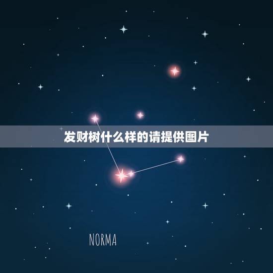 发财树什么样的请提供图片,大家谁知道发财树的牙什么样子啊?最好有图片的 发财树什么样的请提供图片,大家谁知道发财树的牙什么样子啊?最好有图片的