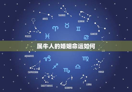 属牛人的婚姻命运如何,属牛人的命运如何? 属牛人的婚姻命运如何,属牛人的命运如何?