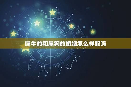 属牛的和属狗的婚姻怎么样配吗,属牛与属狗的婚姻合适吗? 属牛的和属狗的婚姻怎么样配吗,属牛与属狗的婚姻合适吗?